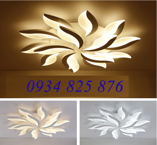 Đèn Áp Trần Trang Trí Hiện Đại-LT929-15