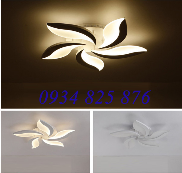 Đèn Áp Trần Trang Trí Hiện Đại-LT929-5