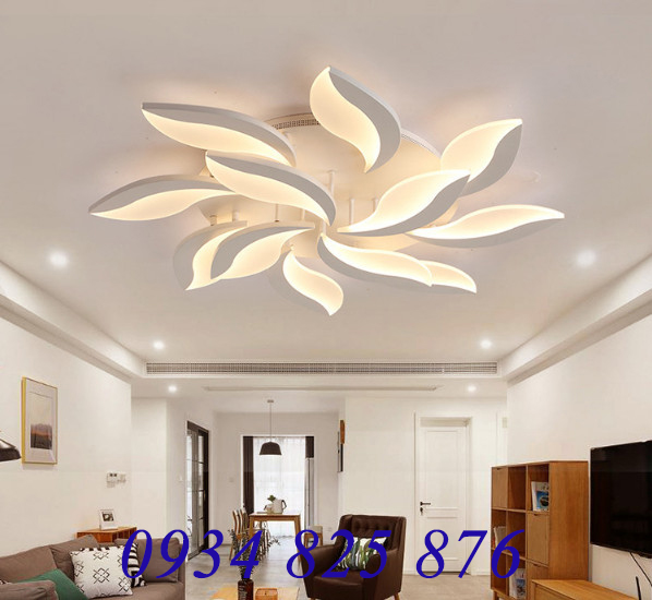 Đèn Áp Trần Trang Trí Hiện Đại-LT930-12
