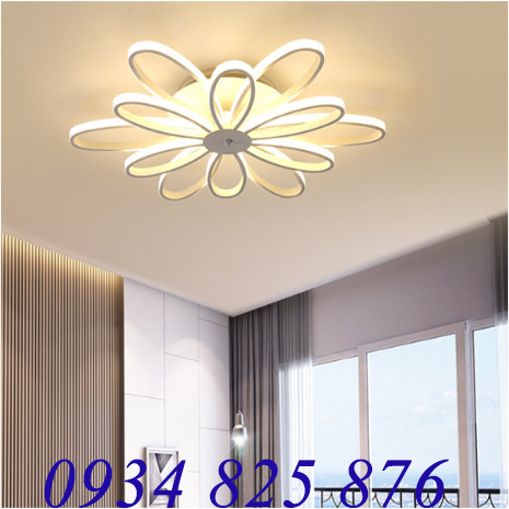 Đèn Ốp Trần Hoa Hiện Đại -LT912-12