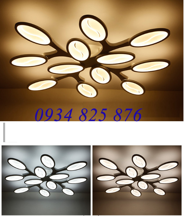 Đèn Áp Trần Trang Trí Hiện Đại-TL9821-12