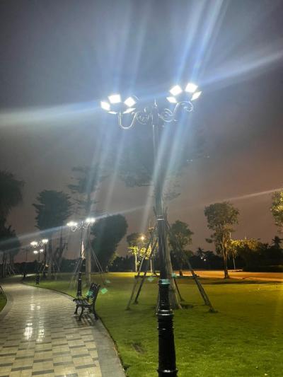 Sự lựa chọn thích hợp cho dịp Tết